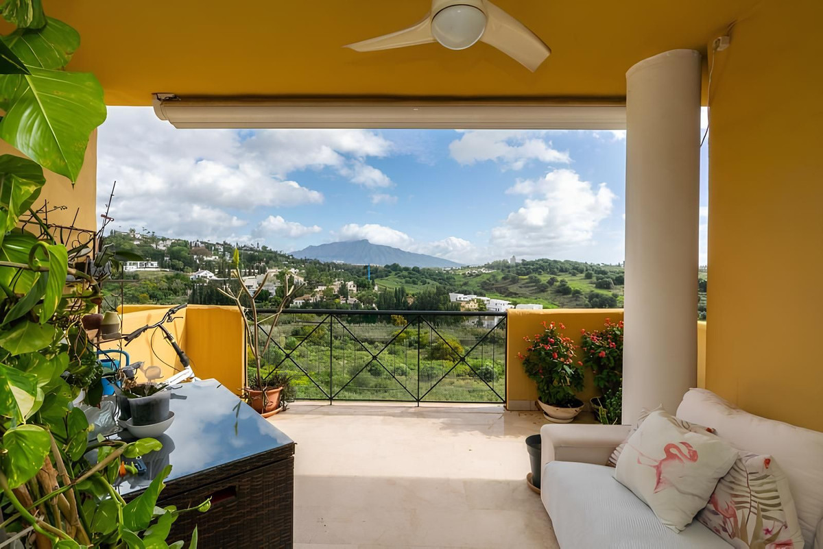 Bel-Air